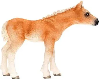 Schleich Хавлингерский жеребенок 13699