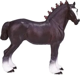 Konik Шайрская лошадь AMF1083