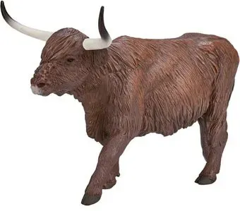 Konik Хайлендская корова AMF1056