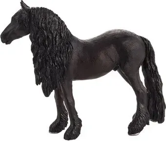 Konik Фризский мерин AMF1070