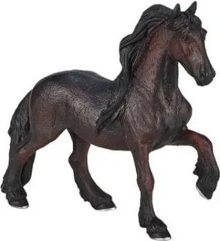 Konik Фризская кобыла AMF1079