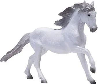 Konik Лузитанская лошадь AMF1002