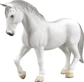 Konik Липпицианская кобыла AMF1027