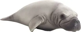 Konik Ламантин AMS3020