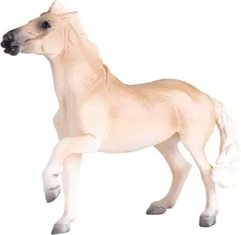 Konik Кобыла Брамби AMF1011