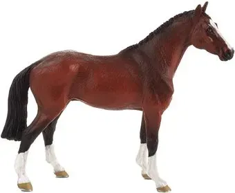 Konik Голландская теплокровная лошадь AMF1086