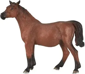 Konik Арабская кобыла Жеребая AMF1052