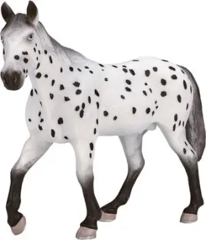 Konik Аппалузский жеребец AMF1038