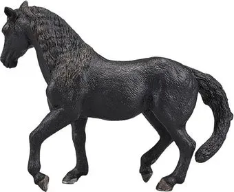 Konik Андалузский жеребец Вороной AMF1039