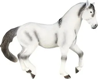 Konik Konik Андалузский жеребец AMF1049