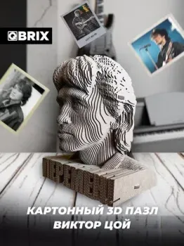 QBRIX Виктор Цой 20016