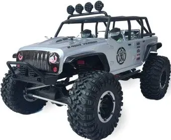 Remo Hobby RH1073-SJ