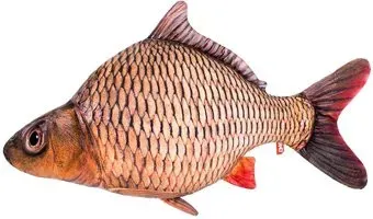 Fancy Рыба RUB1