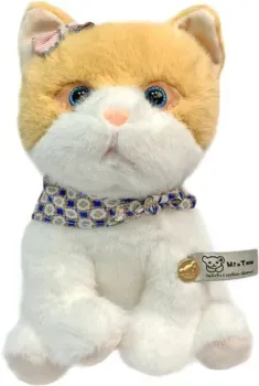 Mr. Тим Котенок Бася 31500002