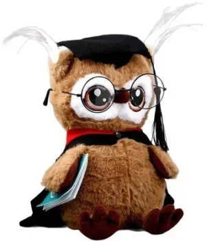Milo Toys Совушка с книжкой 9430794