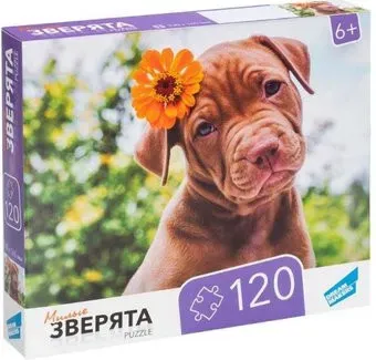 Dream Makers Зверята RI1203C