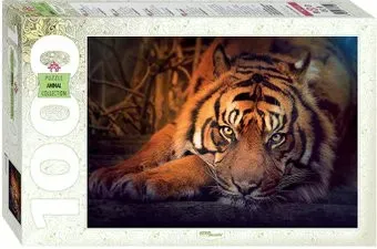 Step Puzzle Сибирский тигр 79142 (1000 эл)
