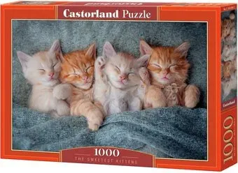 Castorland Милые котята C-105144 (1000 эл)