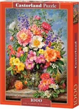 Castorland Цветы в сиянии C-103904 (1000 эл)