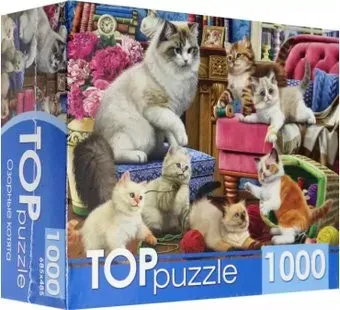 Top Puzzle Озорные котята ХТП1000-2158 (1000 эл)