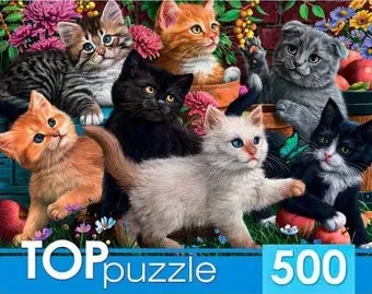 Top Puzzle Игривые котята ХТП500-6809 (500 эл)