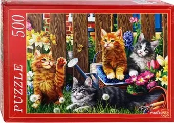 Рыжий кот Котята Мейн-Кун Ф500-5143 (500 эл)