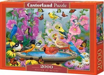 Castorland Ритм природы C-200818 (2000 эл)
