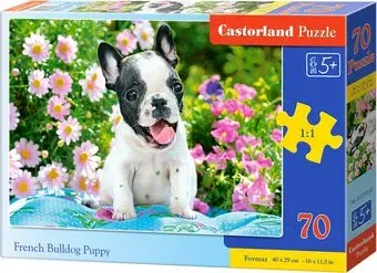 Castorland Premium Щенок французского бульдога В-070152 (70 эл)