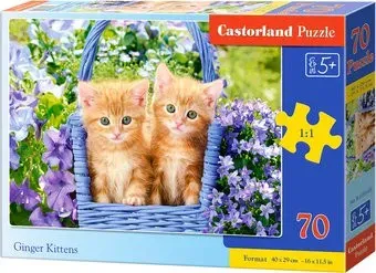 Castorland Premium Рыжие котята В-070169 (70 эл)