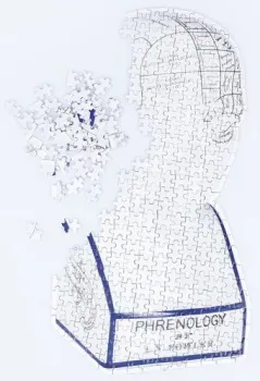 Doiy Phrenology