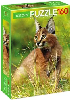 Hatber Дикая кошка 160ПЗ4_23116 (160 эл)