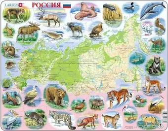Larsen Россия K50-RU
