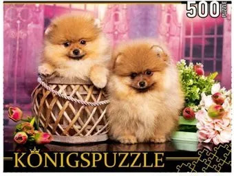 Konigspuzzle Два померанских шпица ШТK500-3578