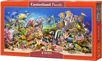 Castorland Подводный мир C-400089 (4000 эл)