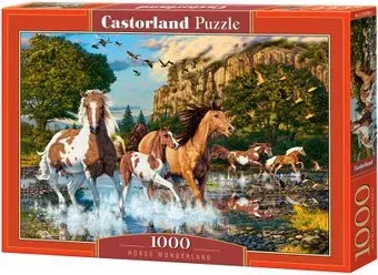 Castorland Бегущие по воде C-104789 (1000 эл)