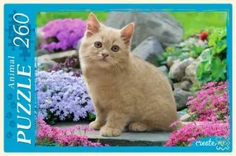 Рыжий кот Рыжий котенок в цветах