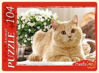 Рыжий кот Милый котенок