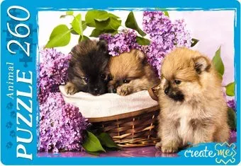 Рыжий кот Милые щенки