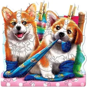 Нескучные игры Dogs In The Socks