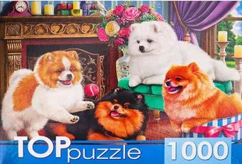 Top Puzzle Игривые шпицы