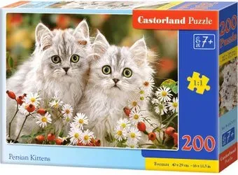 Castorland Персидские котята B-222131
