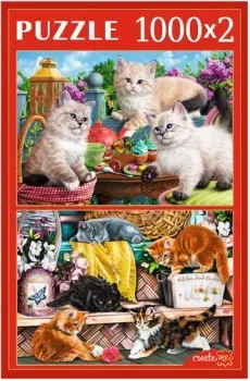Рыжий кот Пушистые котята (2 в 1)