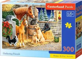 Castorland Друзья B-030255