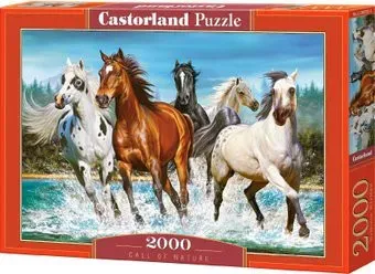 Castorland Бегущие лошади