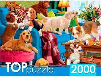 Рыжий кот Щенки одни дома