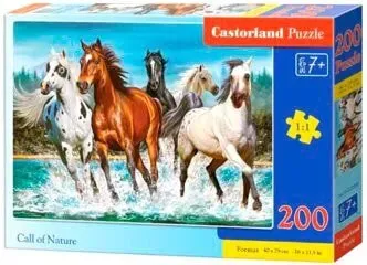 Castorland Новое поколение