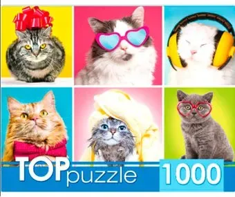 Top Puzzle Top Смешные котята