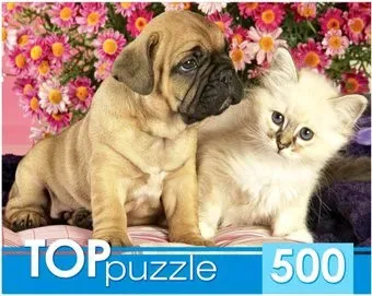 Рыжий кот Щенок и котенок