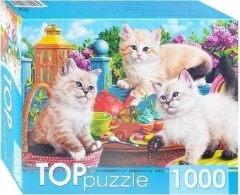 Рыжий кот Котята и чаепитие
