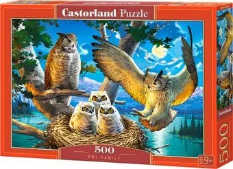Castorland Совиное семейство